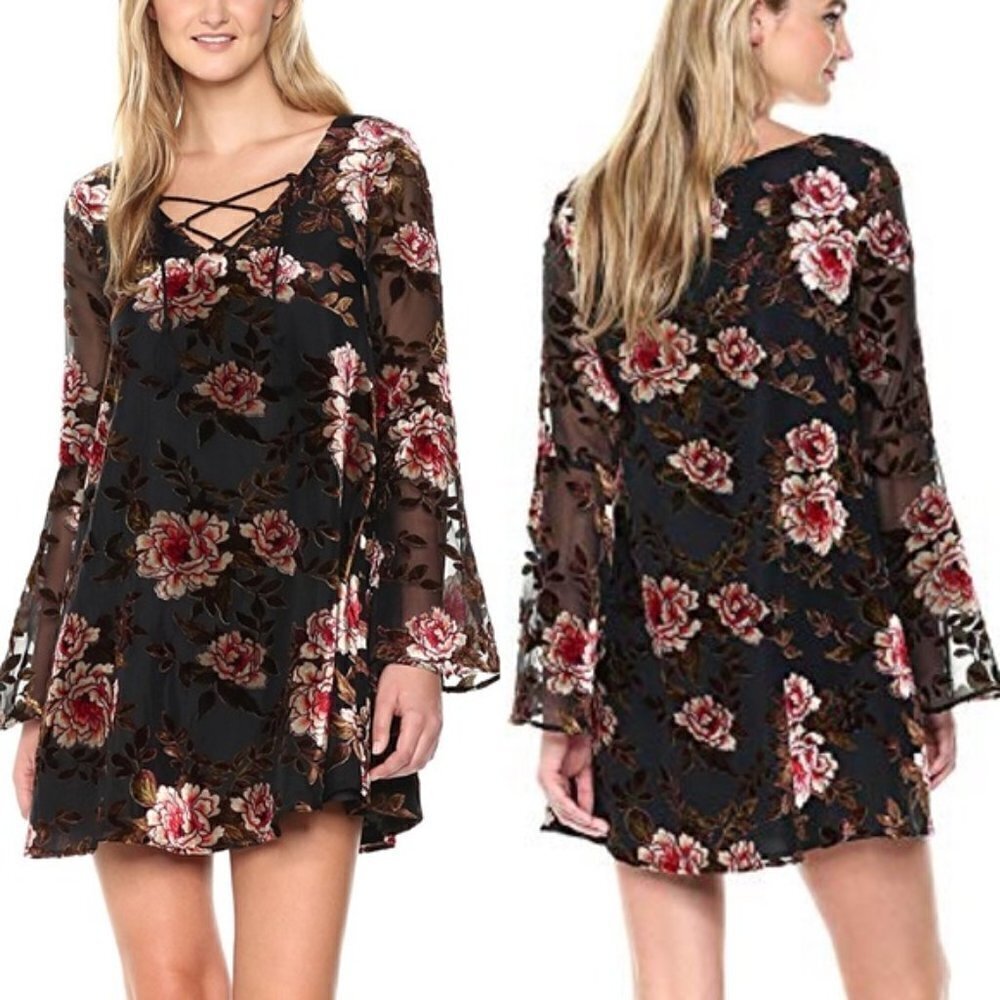 Cupcakes And Cashmere Valda Burnout Velvet Floral Sheer Overlay Dress S